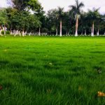 KCE | Top 10 engineering colleges in Coimbatore for computer science