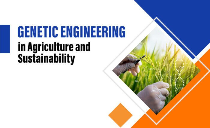 Genetic-Engineering-in-Agriculture-and-Sustainability Role of genetic engineering in agriculture and sustainability - Best Engineering College in Coimbatore